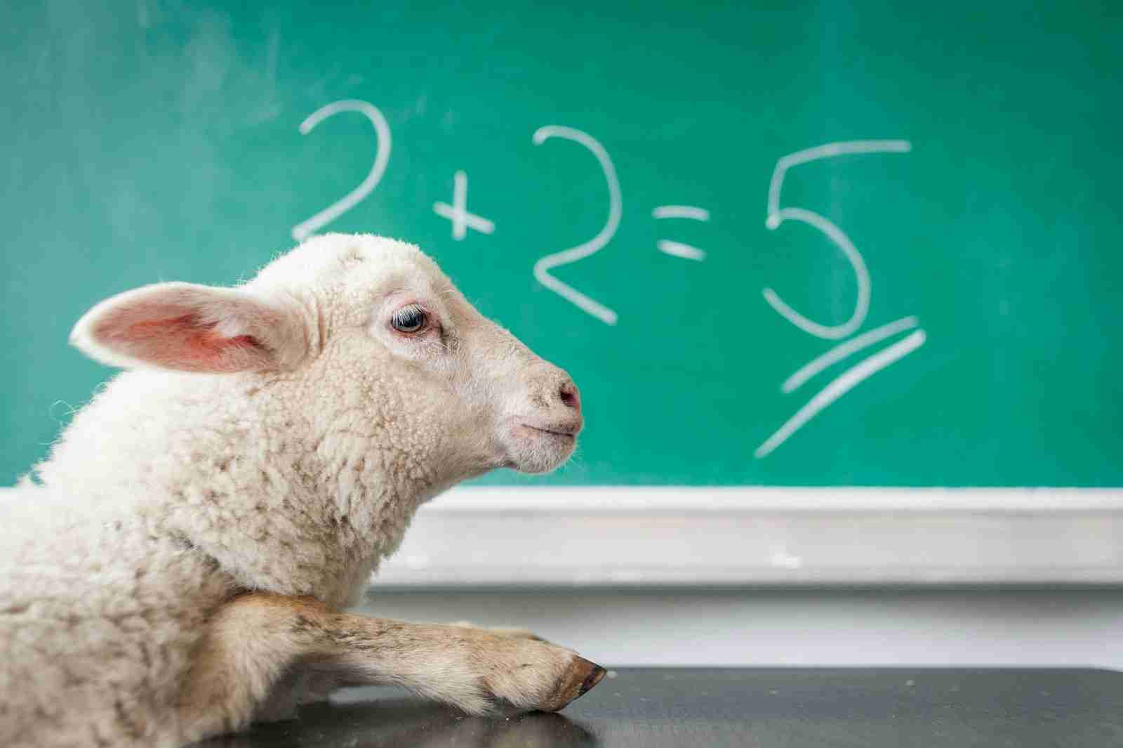 The Power of Reason: Why Logical Thinking Matters in a World of Misinformation