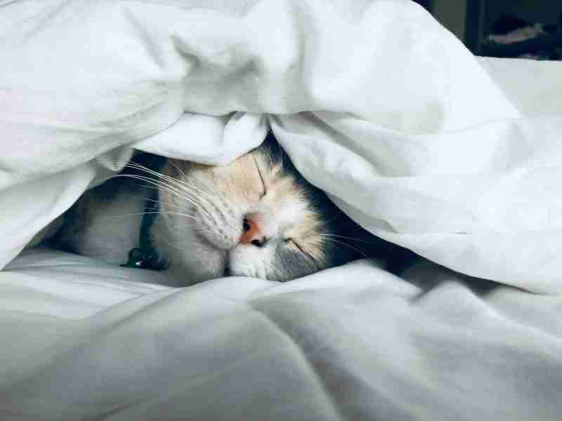 How White Noise, Pink Noise, and Rain Sounds Can Help You Sleep